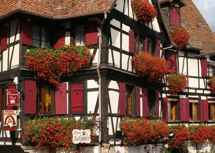 Hôtel Restaurant Zum Schnogaloch