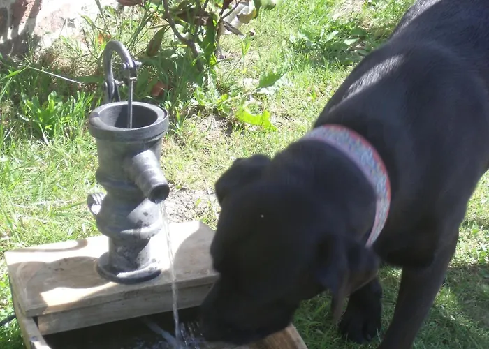 chambres d hotes ,hotel ,Secret d'une Nuit a vicq prės de onnaing,avec piscine