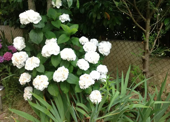 Hôtel avec vue: Maison d'hôtes Le Beauséjour