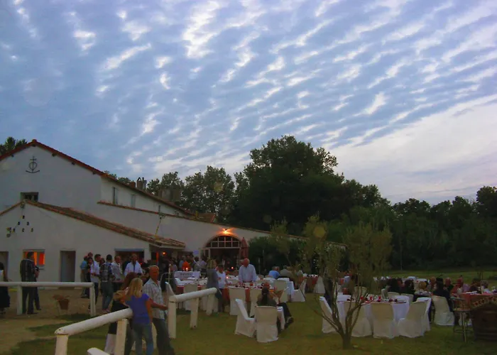Hôtel avec vue: Mas du Menage en Camargue Manade Clauzel