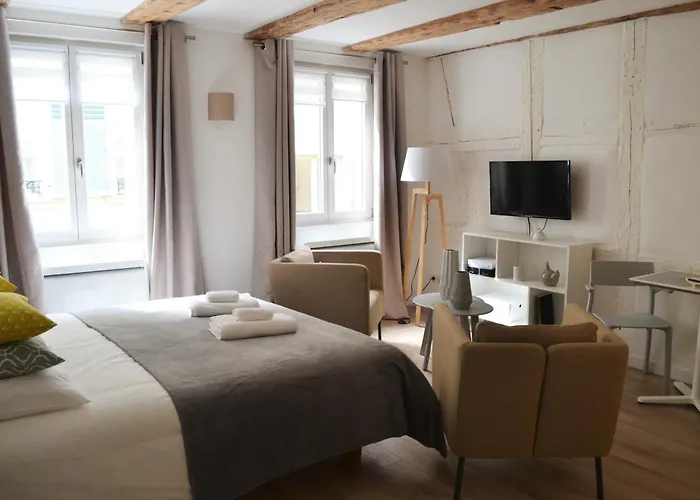 Studio Maison Verte Colmar Centre