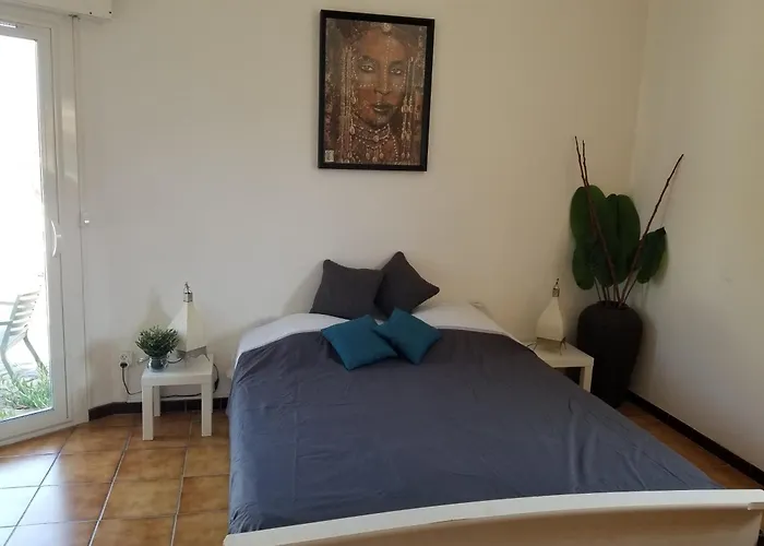 Belle villa classée 4 étoiles proche plage avec jardin
