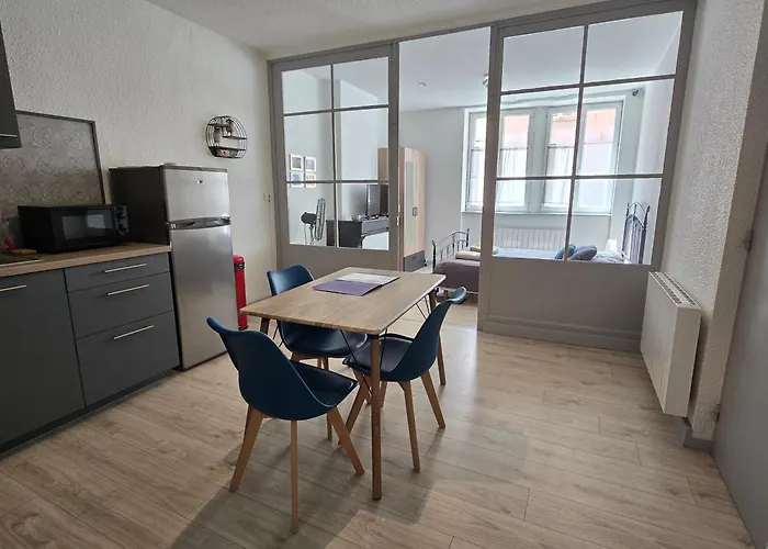 Appartement Au Calme Idealement Place A Macon.