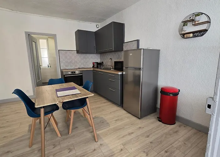 Appartement Au Calme Idealement Place A Macon.