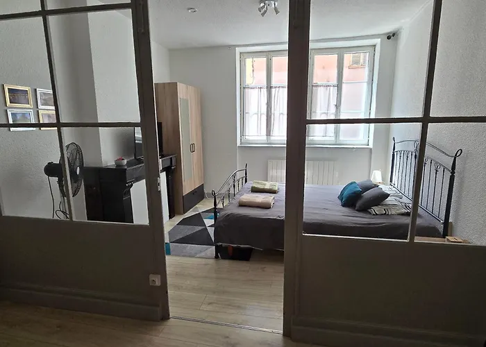 Appartement Au Calme Idealement Place A Macon.