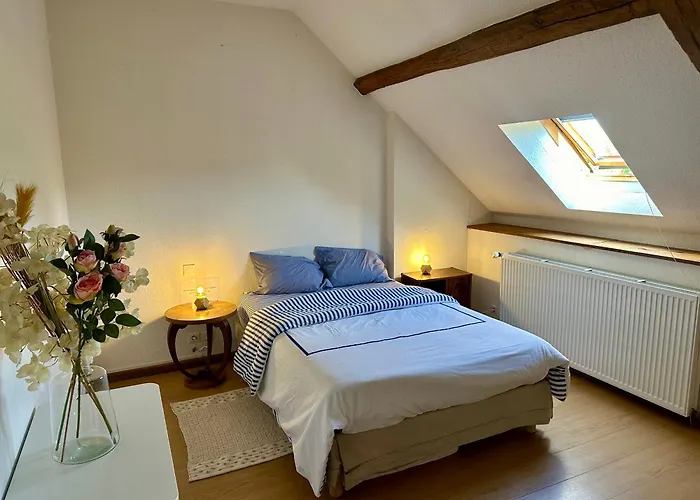 Chaleureuse maison rustique, vue vestige romain