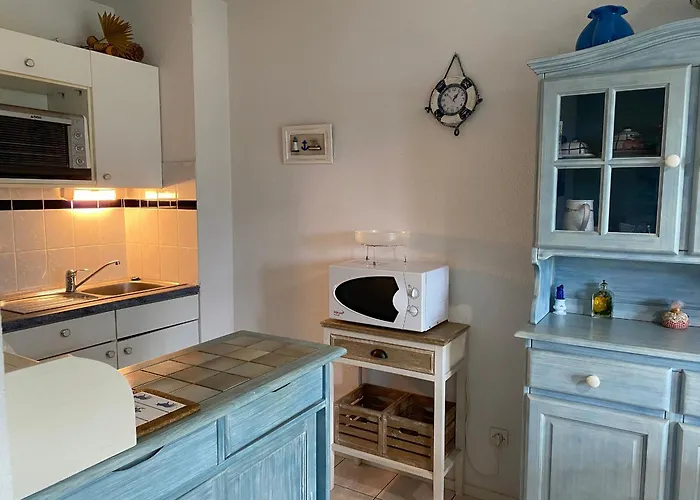 Appartement Charmant Avec Jardin Clos Proche Plage Et Centre-Ville - Fr-1-22-226