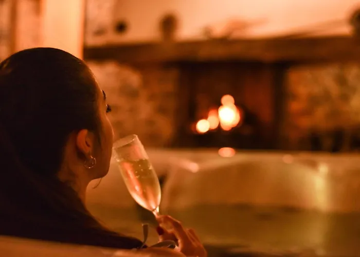 Hôtel avec vue: Hotel Logis - Chateau de Beauregard