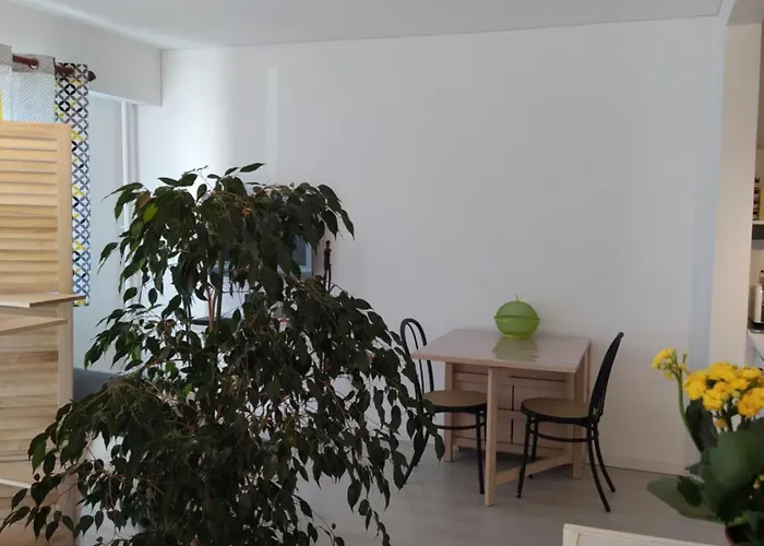 Grand studio, super équipé, 2 pas du centre-ville clos-du-boulanger - parking privé