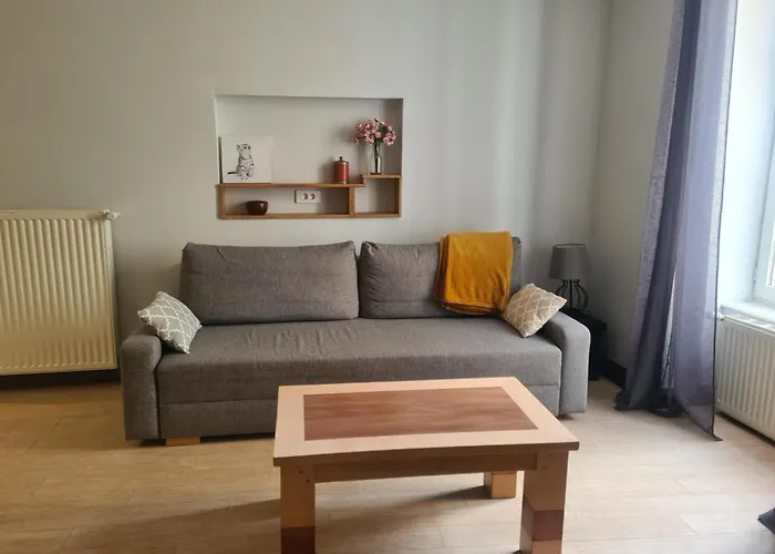 Appartement hyper-centre Issoire