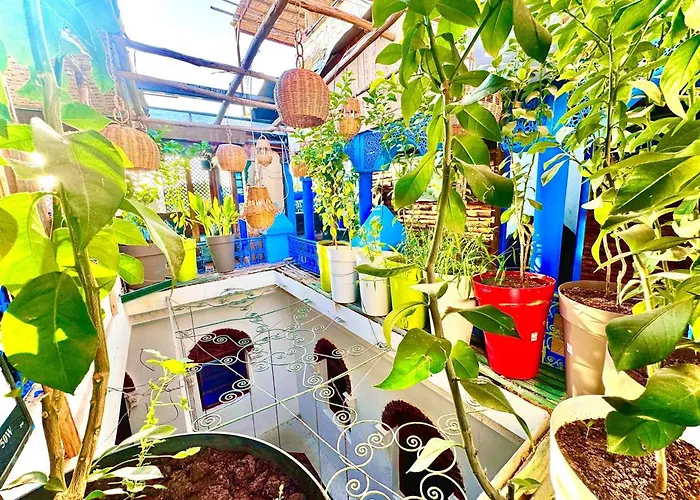 Hôtel-boutique: Riad Verus