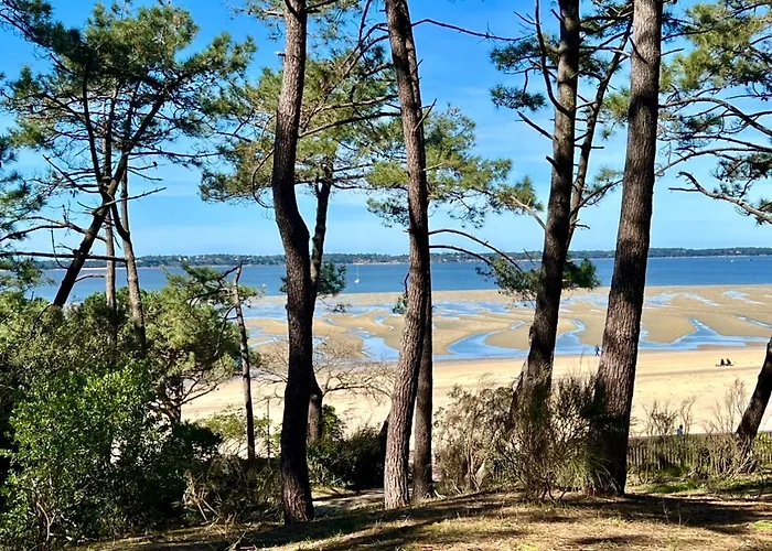 L'OCEAN vue bassin 1ère ligne Plage Pereire vue mer