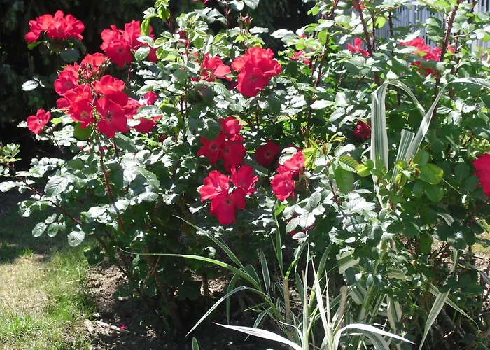 Brit Hotel Dak Hotel