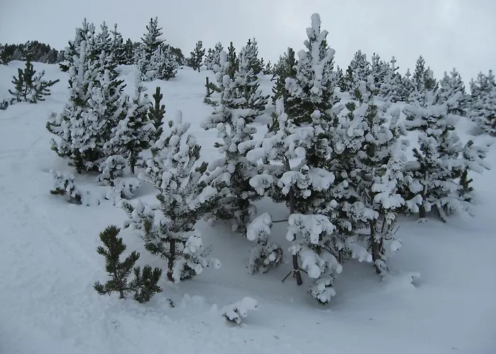 Hôtel de ski: Hotel Casado