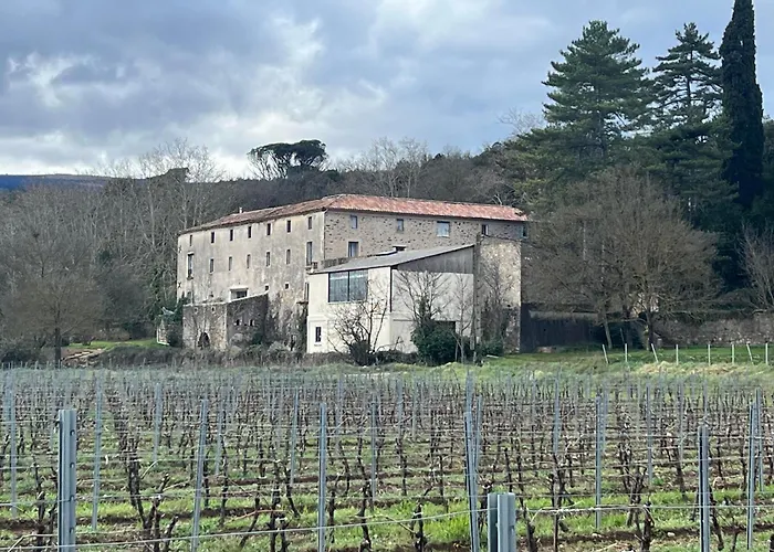 Domaine De Coubillou