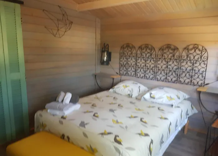 Les Lézards 2 au Soleil Draguignan