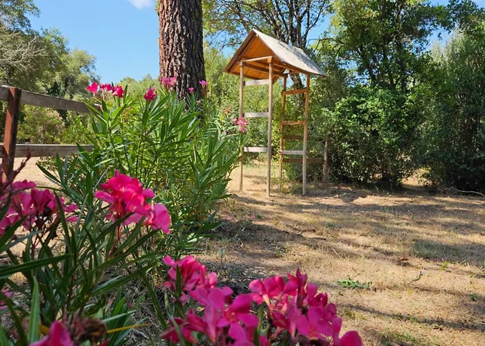 Domaine authentique de rose