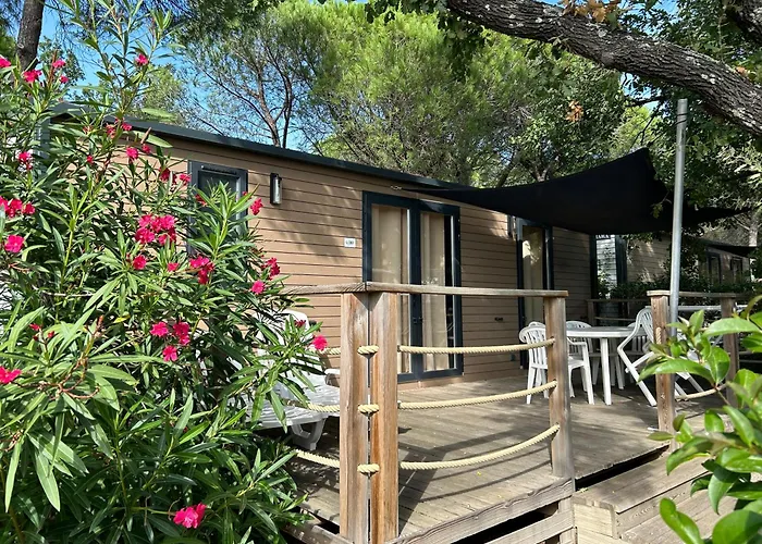 Hôtel de plage: Camping Resort La Baume La Palmeraie