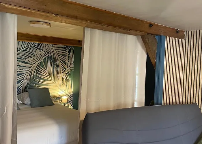 Lilas, Dahlia, Palme Bleue