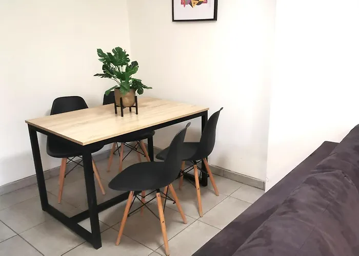 Appartement en plein coeur de Mâcon H