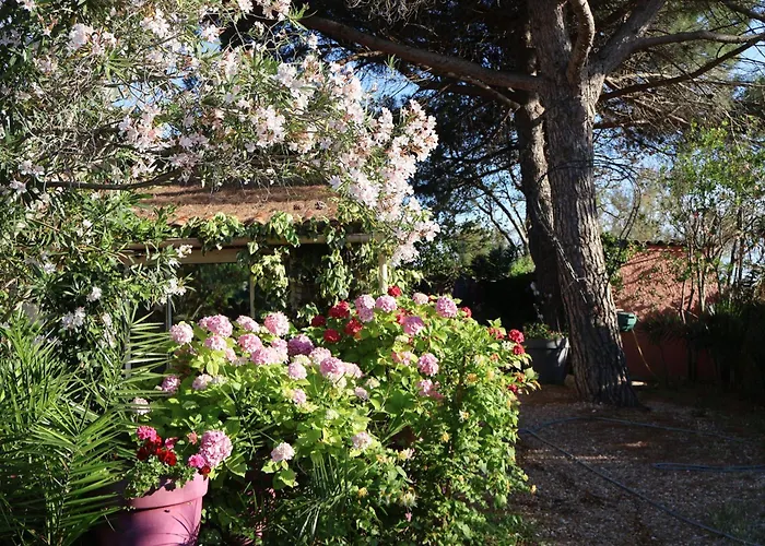 B&B: Mazet du Maréchal Ferrant