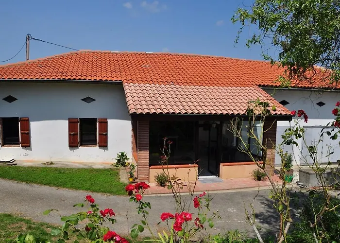 Hôtel: Les loups blancs