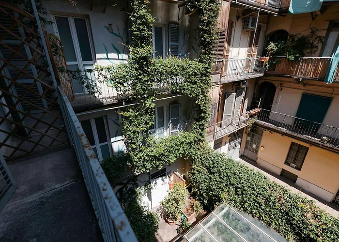 Tomato Urban Retreat