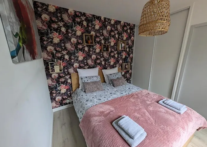 Appartement T2 Le Cocoön rez-de-jardin au calme