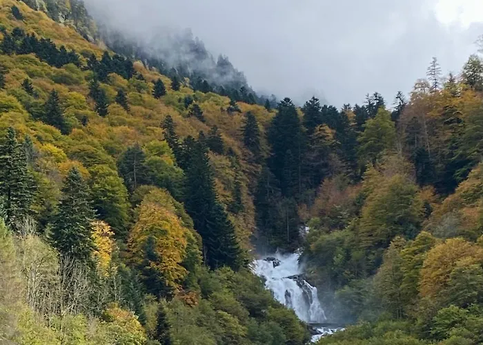 Résidence Eugénie 2 Pièces Cosy au Calme