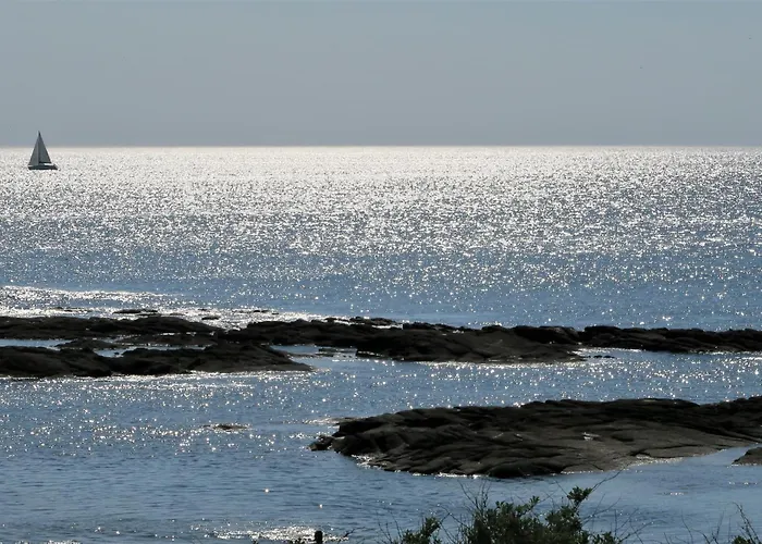 Hôtel de plage: Vitamin Sea