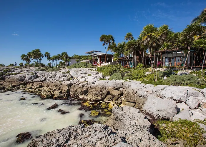 Mi Amor By La Zebra, An Slh Hotel (Adults Only)
