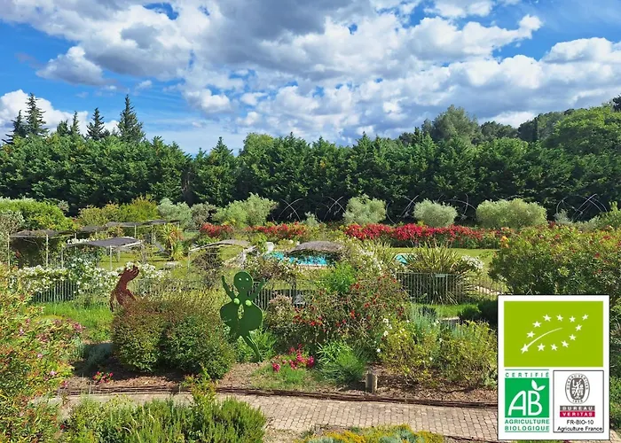 MAS DES FIGUES - très calme - Certifié Biologique FRBio10 - jardin naturel écologique vivant - piscine 12x6- Copieux brunch paysan méditerranéen du jardin cuisine maison huile d'olive- Agritourisme-Alpilles Saint Rémy de Provence-du 01 mai au 29 sept