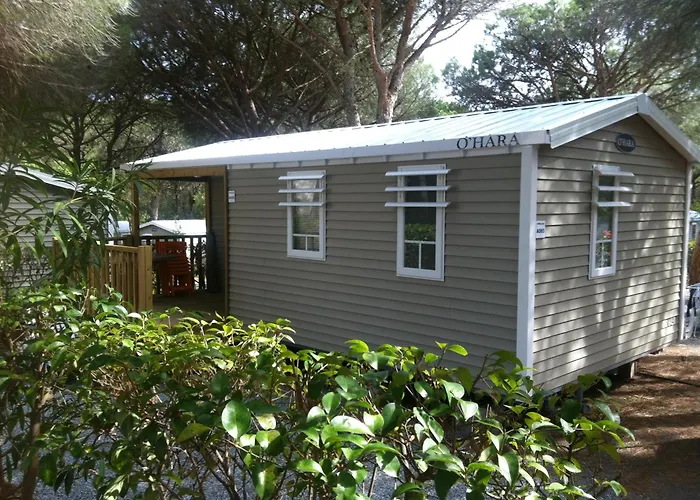 Hôtel de plage: Camping Resort La Baume La Palmeraie