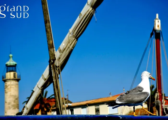 Hôtel de plage: Appartement Camargue Village