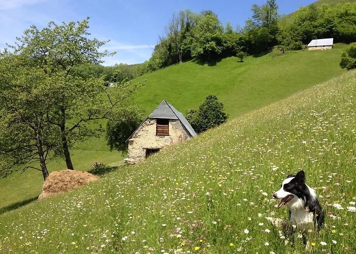 Location de vacances: Vie d'Estive