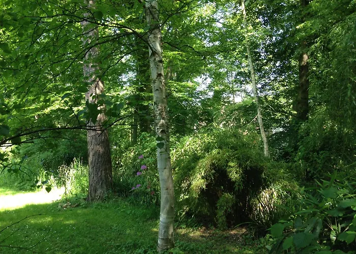 Domaine De Chantemerles