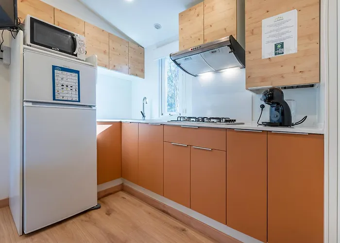 Camping Las Palmeras