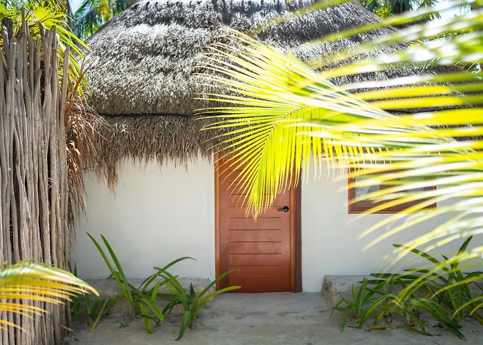  Alito Tulum