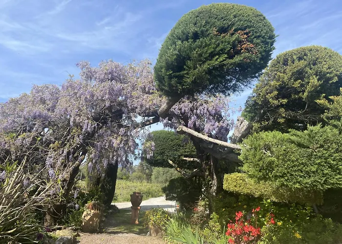 Hôtel avec piscine: La Maison De Justine
