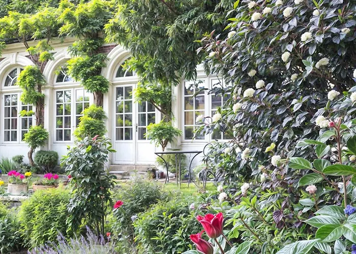 Maison d'hôtes: L'Orangerie White Palacio