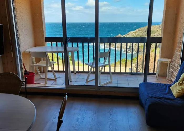Appartement vue mer Port Vendres Collioure direct crique wifi