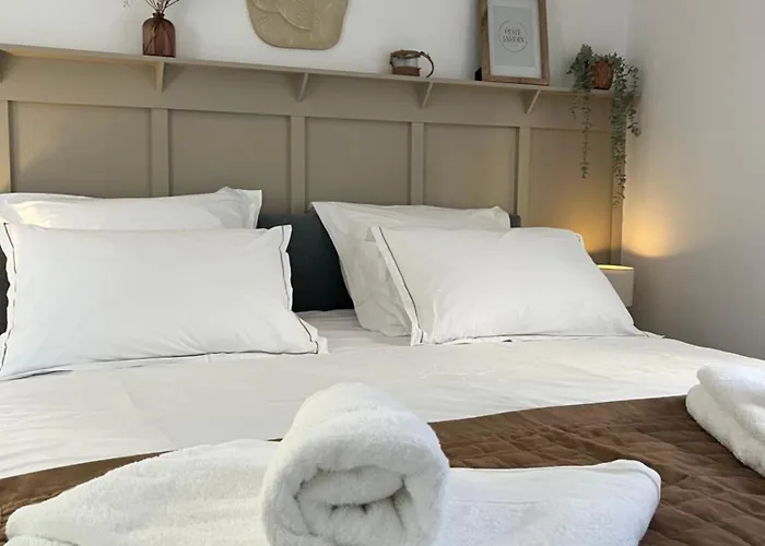 Appartement T1 Côté jardin à Thionville