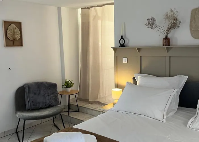Appartement T1 Côté jardin à Thionville