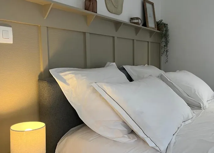Appartement T1 Côté jardin à Thionville