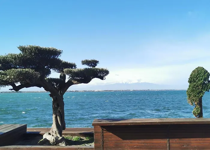 Presqu'île de Cap Coudalere et proche du Village de Noël avec terrasse, aire de jeux d'enfants, parking