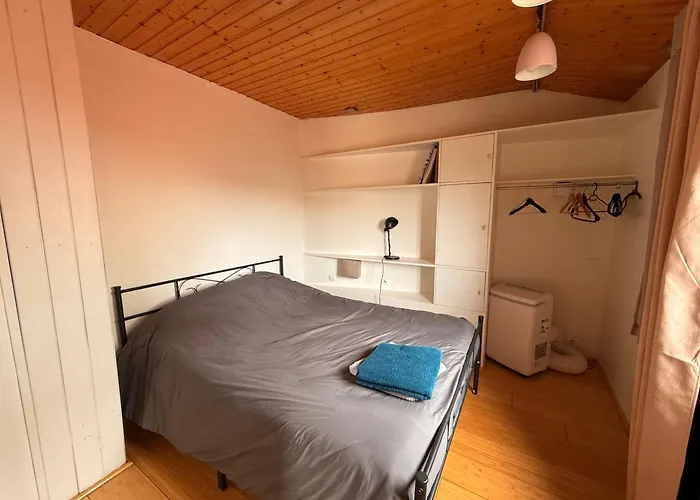 Chaleureux appartement centre ville proche gare.