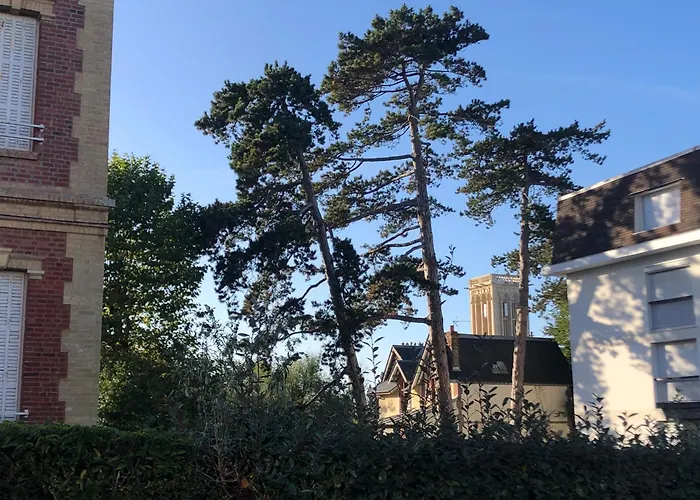 Les Pins Penchés