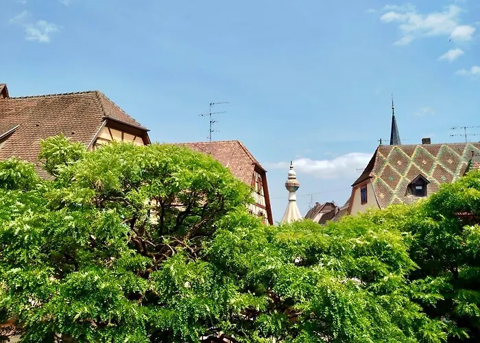Le Carrousel - Appartement cosy centre Obernai