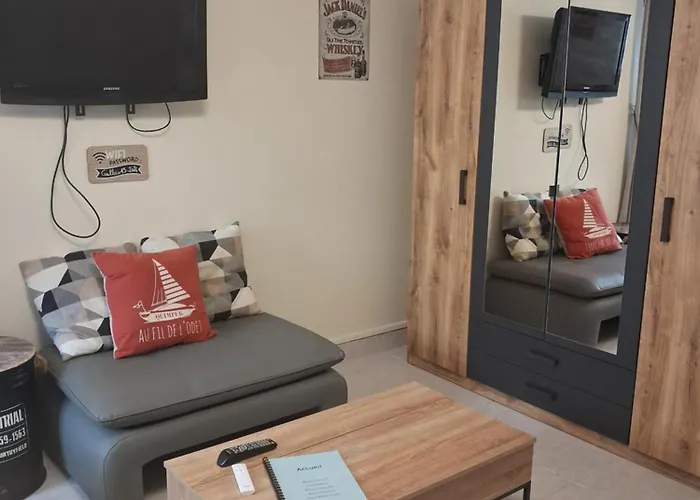 Appartement au calme proche d'un petit bois dans quimper