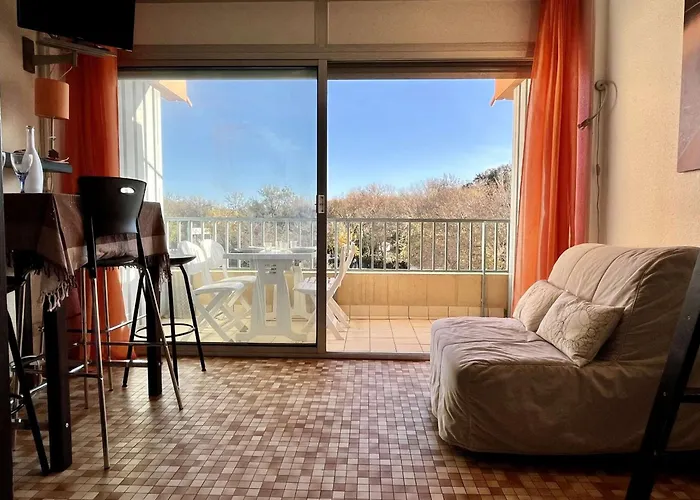 Studio Renove, Loggia Ensoleillee, 200M De La Plage, Animaux Permis - Argeles-Sur-Mer - Fr-1-225-116